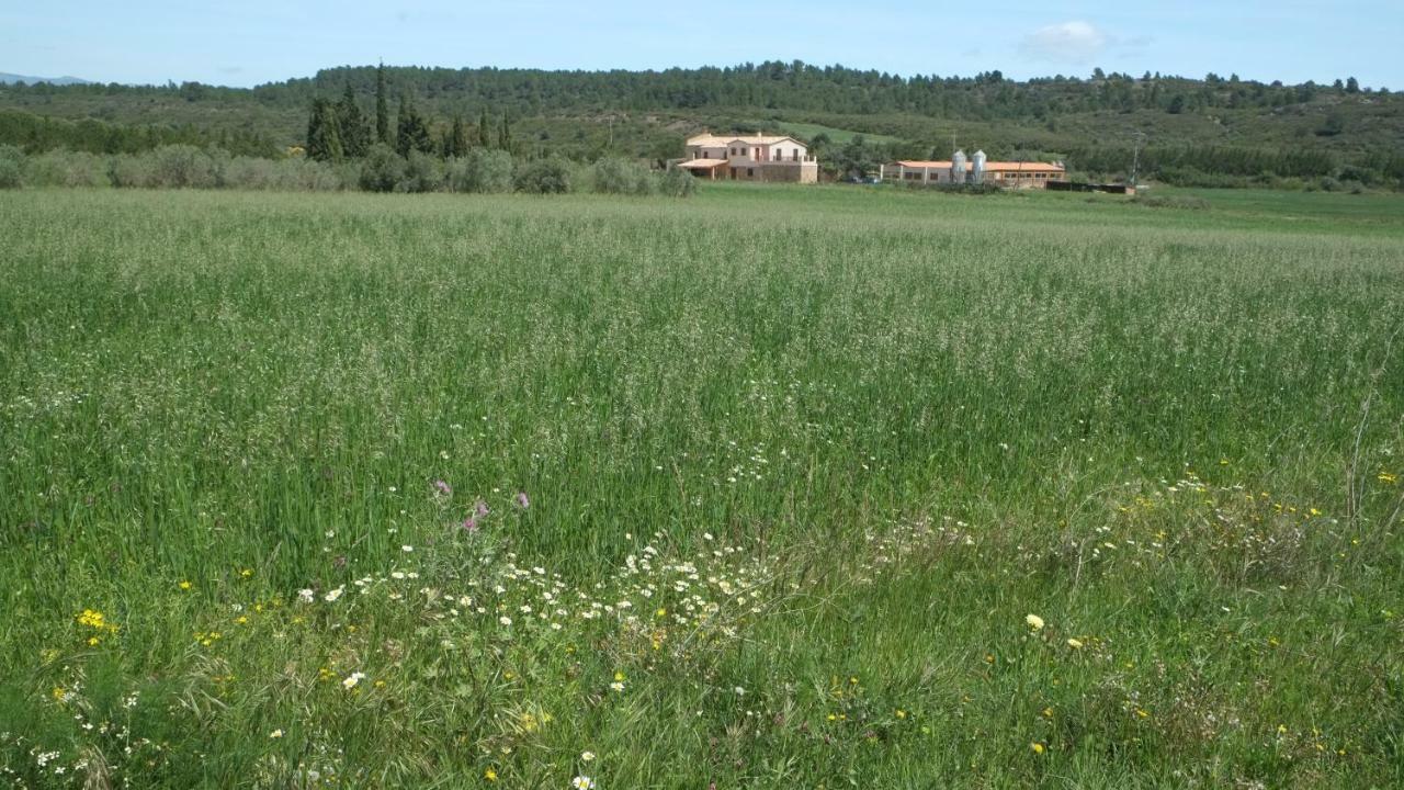 La Masia De Montpedros 佩拉达 外观 照片